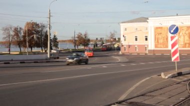 Bitki örtüsünün doğal güzelliği ve rahatlama videosu