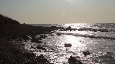 Bitki örtüsünün doğal güzelliği ve rahatlama videosu