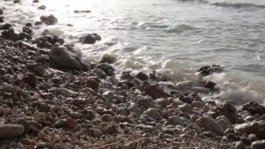 Bitki örtüsünün doğal güzelliği ve rahatlama videosu