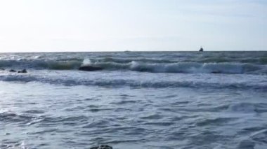 Bitki örtüsünün doğal güzelliği ve rahatlama videosu