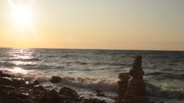 Bitki örtüsünün doğal güzelliği ve rahatlama videosu