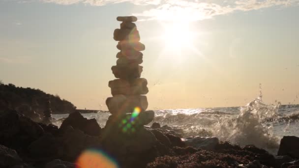 Beauté Naturelle Flore Faune Relaxation Vidéo — Video