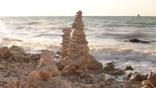 Beauté Naturelle Flore Faune Relaxation Vidéo — Video