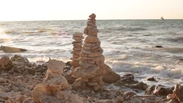 Beauté Naturelle Flore Faune Relaxation Vidéo — Video