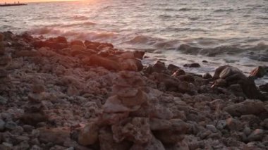 Bitki örtüsünün doğal güzelliği ve rahatlama videosu