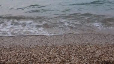 Bitki örtüsünün doğal güzelliği ve rahatlama videosu