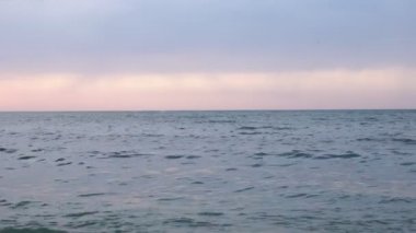 Bitki örtüsünün doğal güzelliği ve rahatlama videosu