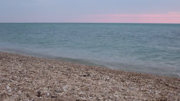 Φυσική Ομορφιά Της Χλωρίδας Και Της Πανίδας Βίντεο Χαλάρωσης — Αρχείο Βίντεο