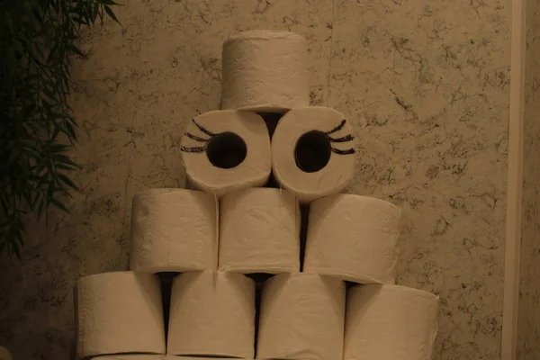 Имбирная Чихуахуа Собака Запас Рулонов Туалетной Бумаги — стоковое фото