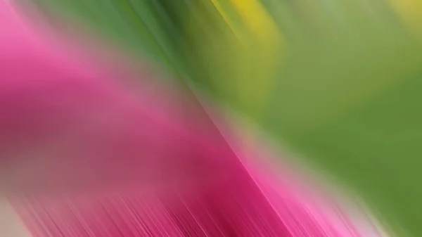 Fondo Multicolor Verde Rosa Claro Moda Saturado Diseño Interesante Brillante — Foto de Stock