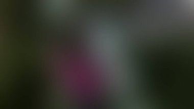  soyut parlak illüstrasyon, süper doymuş arkaplan