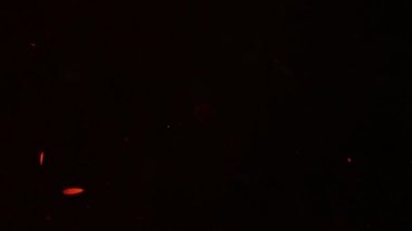 Soyut makro video arka plan sabun köpükleri, parlayan cam parçaları, parıldayan güneş ışınlı buz.