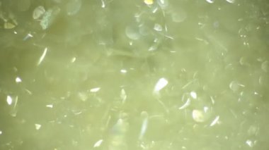 Soyut makro video arka plan sabun köpükleri, parlayan cam parçaları, parıldayan güneş ışınlı buz.