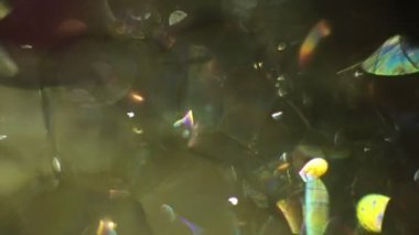 Soyut makro video arka plan sabun köpükleri, parlayan cam parçaları, parıldayan güneş ışınlı buz.