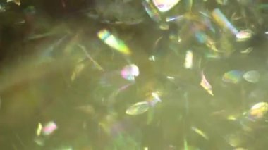 Soyut makro video arka plan sabun köpükleri, parlayan cam parçaları, parıldayan güneş ışınlı buz.