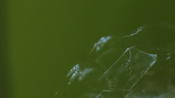 Абстрактний Макро Відео Фон Набір Мильних Бульбашок Шматки Блискучого Мерехтливого — стокове відео