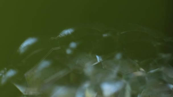 Abstraktes Makro Video Hintergrundset Aus Seifenblasen Scherben Aus Glänzend Schimmerndem — Stockvideo