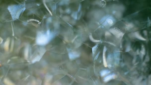 Abstract Macro Video Background Set Soap Bubbles Shards Shiny Shimmering — Stock Video