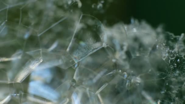 Abstract Macro Video Achtergrond Set Zeepbellen Scherven Van Glanzend Glanzend — Stockvideo