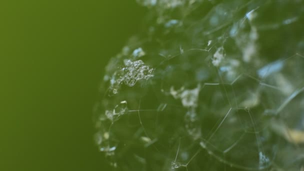 Abstrakt Makro Video Bakgrund Uppsättning Såpbubblor Skärvor Blankt Skimrande Glas — Stockvideo