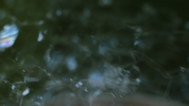 Abstraktes Makro Video Hintergrundset Aus Seifenblasen Scherben Aus Glänzend Schimmerndem — Stockvideo