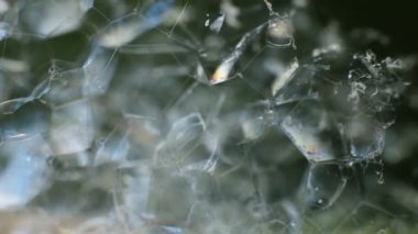 Soyut makro video arka plan sabun köpükleri, parlayan cam parçaları, parıldayan güneş ışınlı buz.