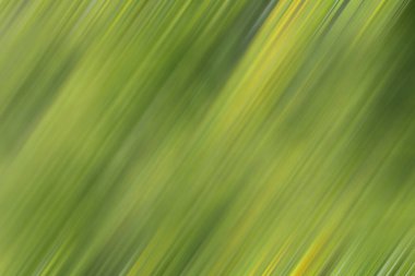 Doymuş açık yeşil-sarı çok renkli arkaplan, süper soyut desenli resimlerin parlak ilginç tasarımı