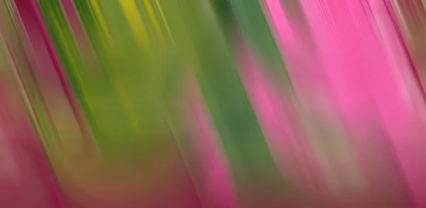 緑色のピンクの飽和背景 抽象的な明るいイラスト — ストック写真