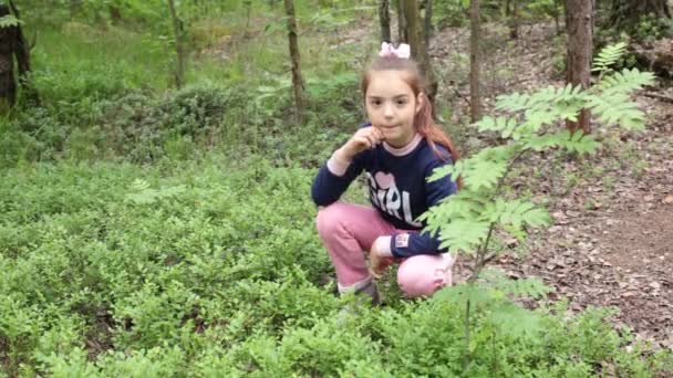 Menina Oito Anos Escolhe Mirtilos Floresta — Vídeo de Stock