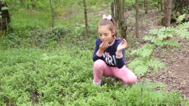8岁的女孩在森林里采摘蓝莓 — 图库视频影像