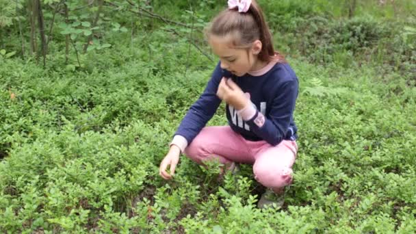 Dziewczyna Ośmiu Lat Zbiera Jagody Lesie — Wideo stockowe