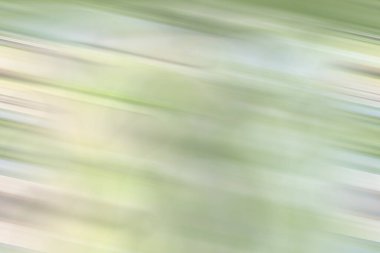  Açık yeşil havalı soyut arka plan boşluğu grafik düzeni için mükemmel parlak gradyan