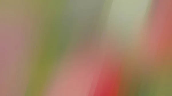 Abstrakte Hellgrün Rosa Abbildung Super Trendy Reichen Hintergrund — Stockfoto