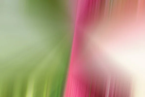 Abstrakte Hellgrüne Illustration Superreicher Hintergrund — Stockfoto