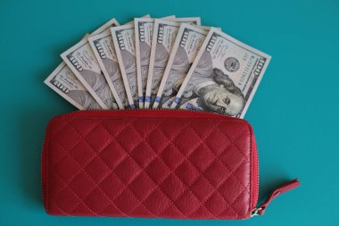 100 dolarlık banknotlar halinde yüklü miktarda nakit.