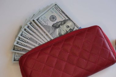 100 dolarlık banknotlar halinde yüklü miktarda nakit.