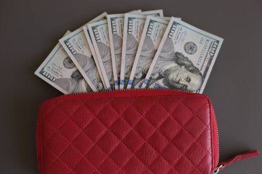 100 dolarlık banknotlar halinde yüklü miktarda nakit.