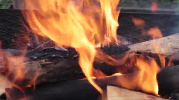 Ljus Flammande Het Eld Grillen — Stockvideo