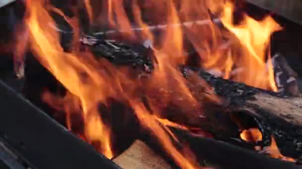 Ljus Flammande Het Eld Grillen — Stockvideo