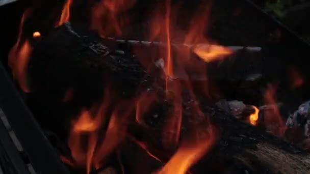 Bright Blazing Hot Fire Grill — Stock Video