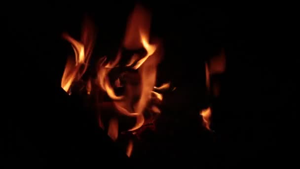 Ljus Flammande Het Eld Grillen — Stockvideo