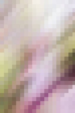 güzel parlak çok renkli arkaplan deseni, soyut pastel çizim eğilimi, farklı zengin renklerde moda tasarımı