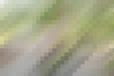 güzel parlak çok renkli arkaplan deseni, soyut pastel çizim eğilimi, farklı zengin renklerde moda tasarımı