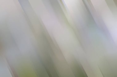 yeşil renk zengini arkaplan, soyut parlak haki rengi çizimi