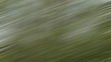 yeşil renk zengini arkaplan, soyut parlak haki rengi çizimi