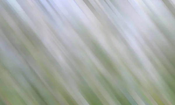 Zielony Kolor Bogaty Tło Abstrakcyjne Jasne Khaki Ilustracja — Zdjęcie stockowe