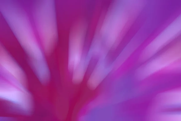 Reiche Trendige Rosa Mehrfarbigen Hintergrund Helles Interessantes Design Super Fuchsia — Stockfoto