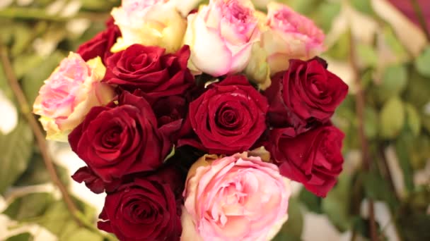 Recoger Ramo Flores Reales Rosas Rojas — Vídeo de stock