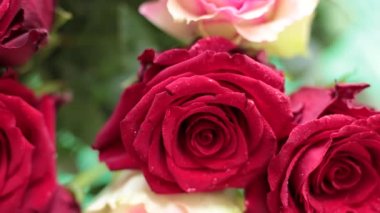 Bir buket gerçek kırmızı gül topla.