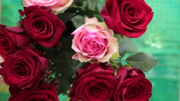 Recolher Buquê Flores Reais Rosas Vermelhas — Vídeo de Stock